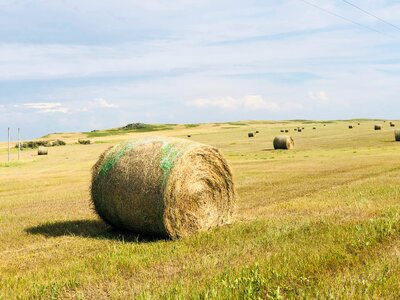 Landscape straw rural