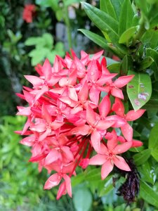 Beautiful nature