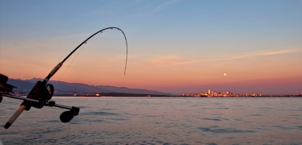 Charter city downrigger photo