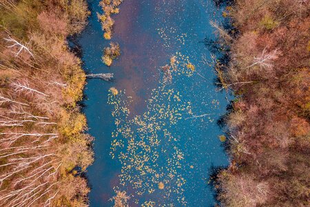 Autumn lake stupidity