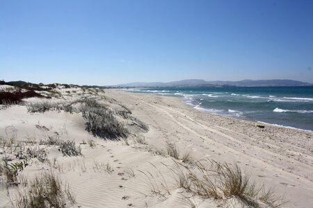 Water beach sea