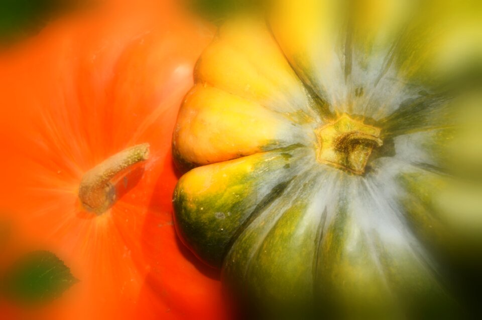 Colorful halloween decoration