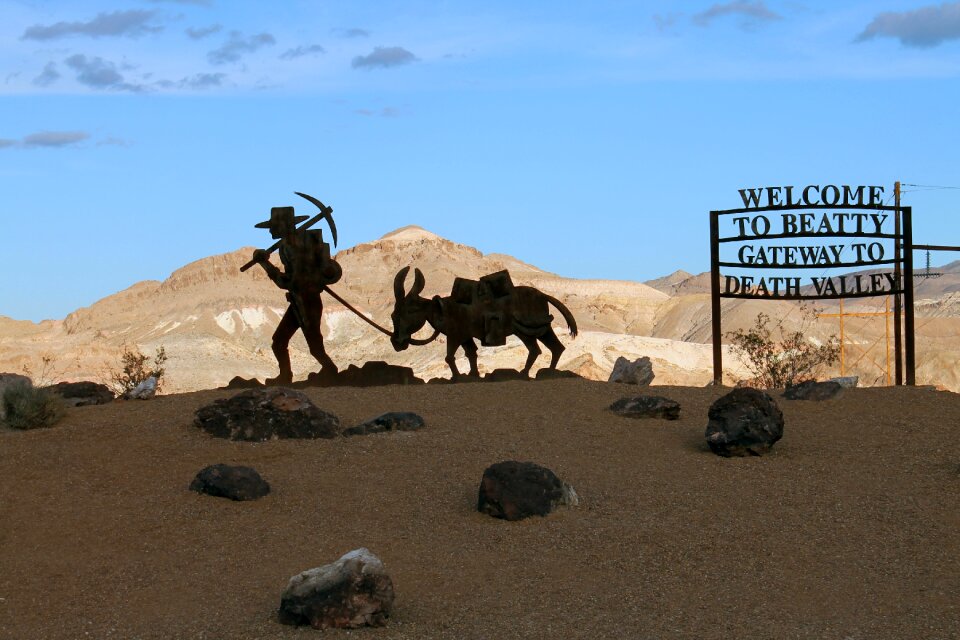 Mining burro brown death