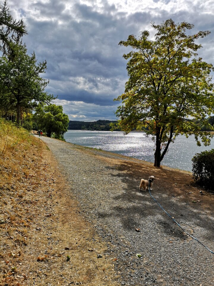 Bad-arolsen reservoir weather