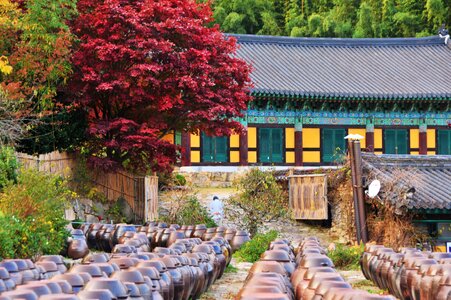 Jar asia culture