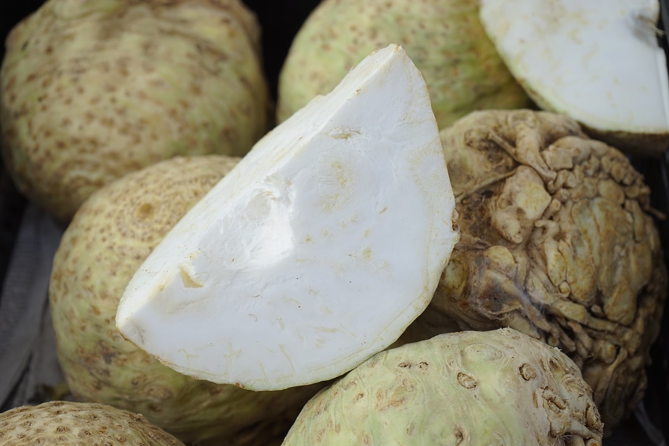 White celeriac vegetables