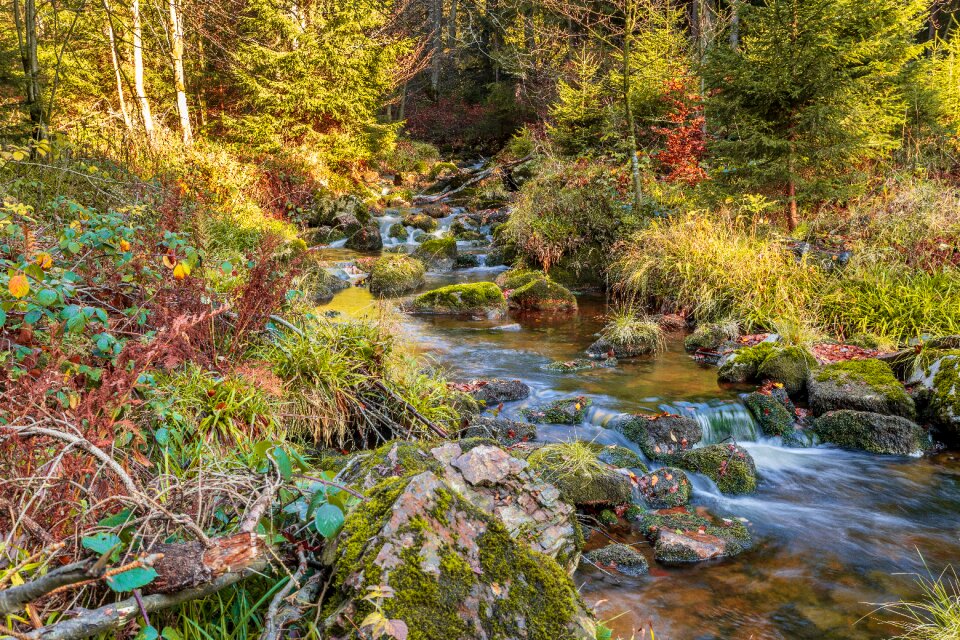 Nature landscape stone