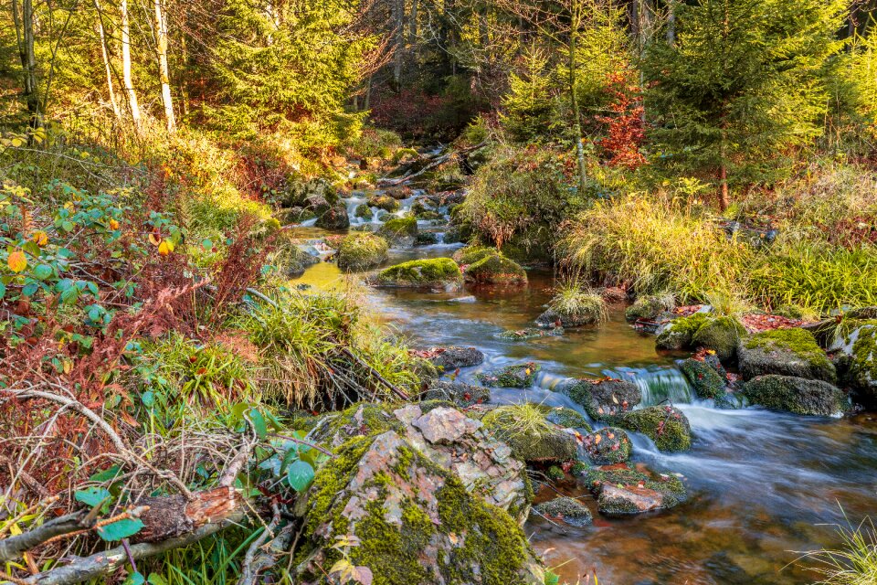 Nature landscape stone photo