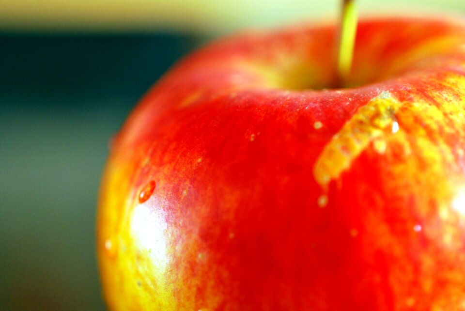 Red fruit autumn