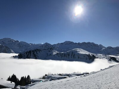 Snow winter panorama