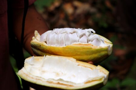 Foodstuffs organic natural