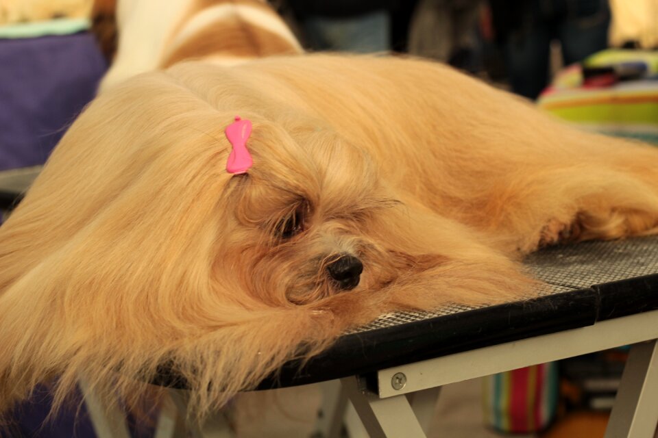 Rest portrait blonde