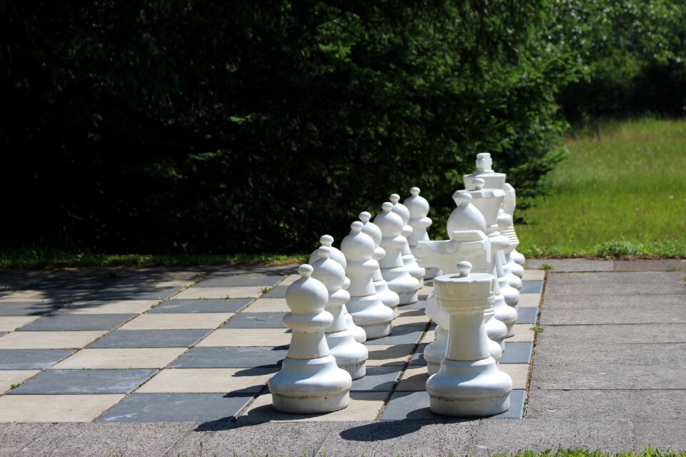 Xxl board game chess pieces photo