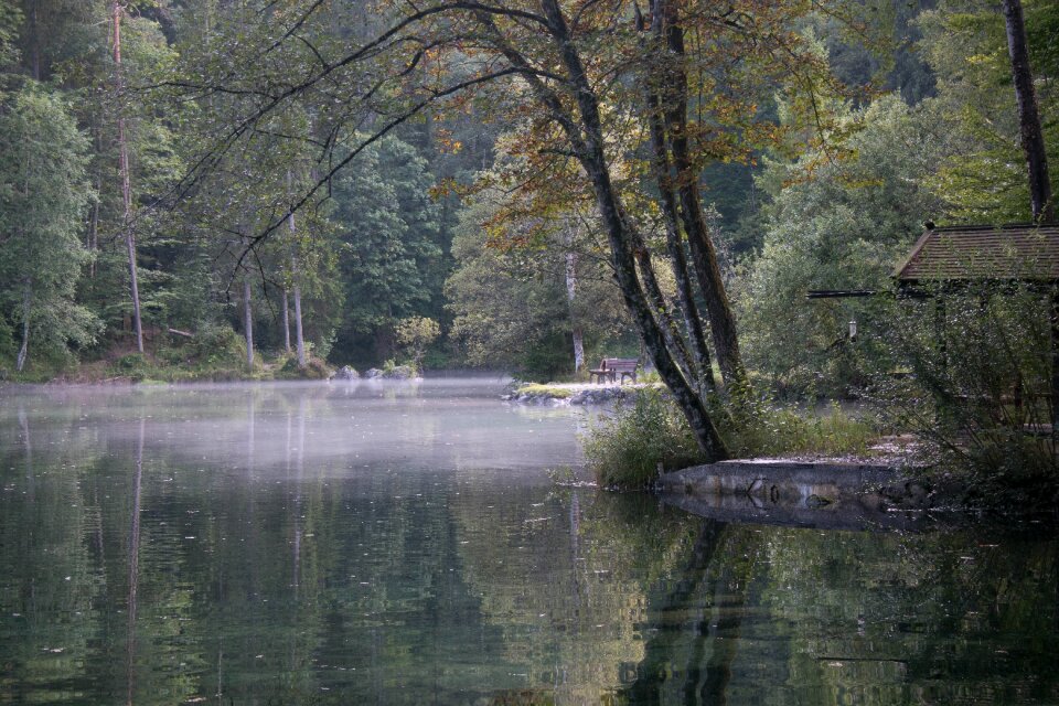Water idyllic quiet