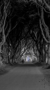 Avenue ireland mystical