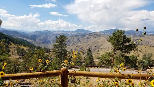 Wildflowers lookout landscape