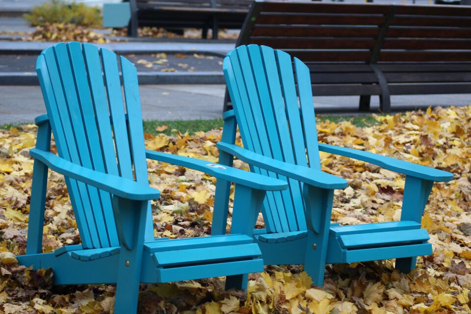 Chairs leaves color