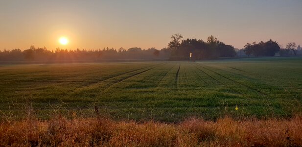 Field in the morning peace of mind photo