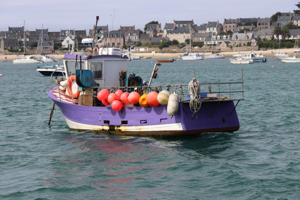 Sea brittany purple