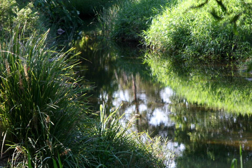 Reflection water creek