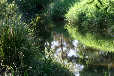 Reflection water creek