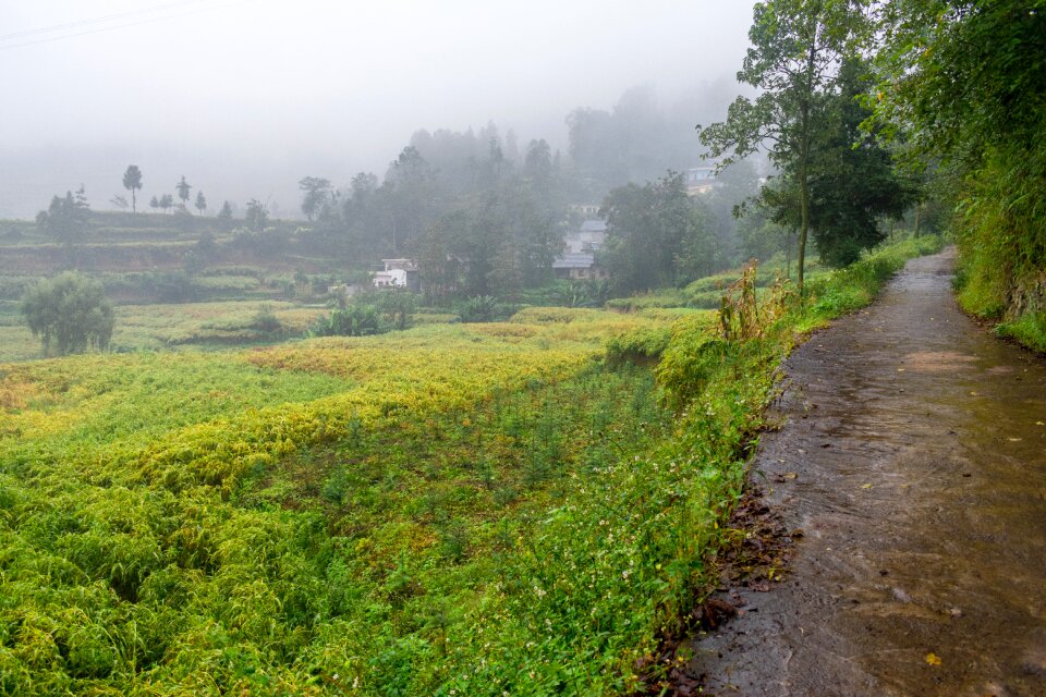 Country autumn rain guizhou