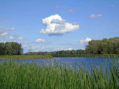 Nature water lake