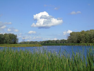 Nature water lake photo