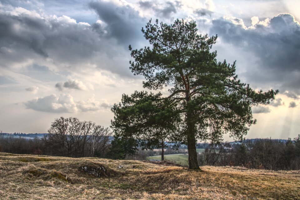 Landscape cloudiness dry meadow