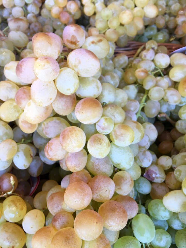 Green summer fruit