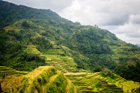 Philippines rice terraces banaue