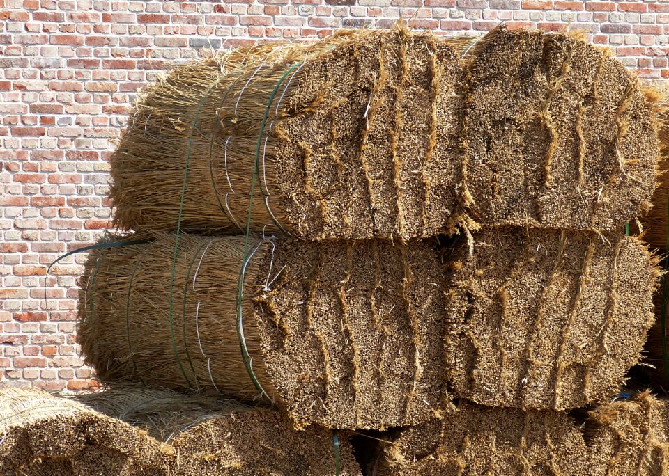Nordfriesland reed thatched roof
