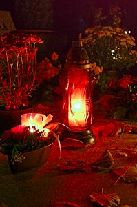Mood day of the dead light