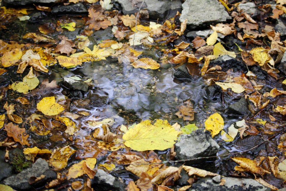 Colorful wet pebbles