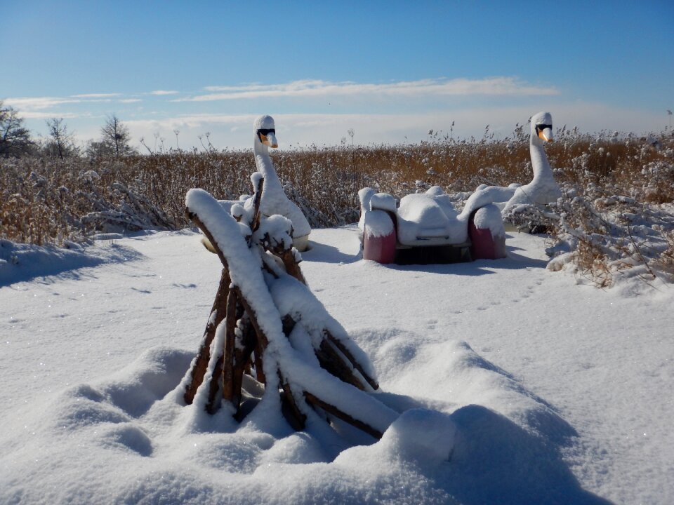 Winter nature snow landscape