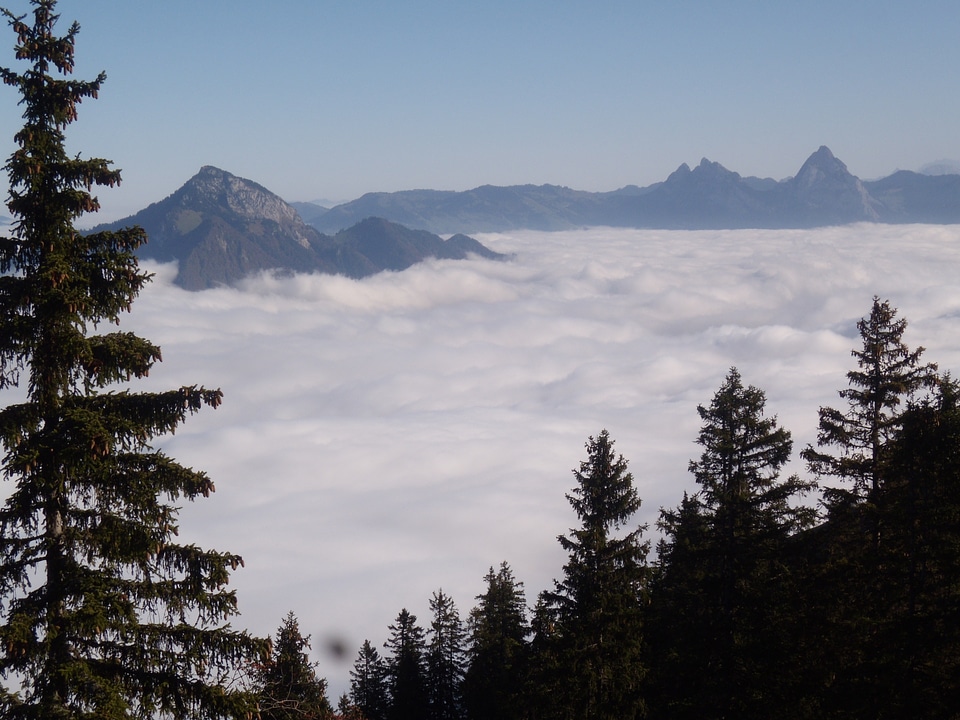 Mood sea of fog klewenalp