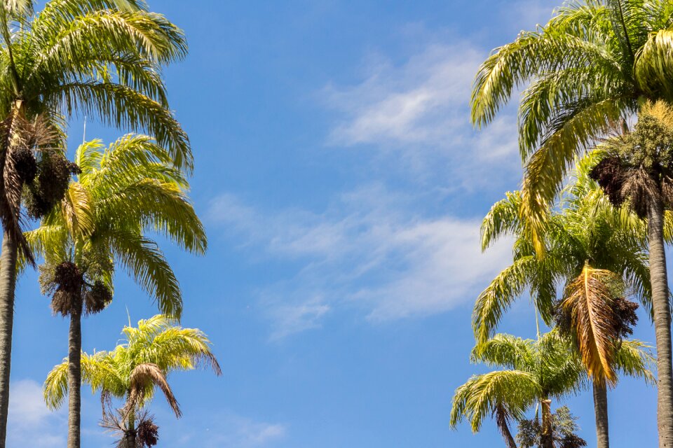 Blue sky nature sol