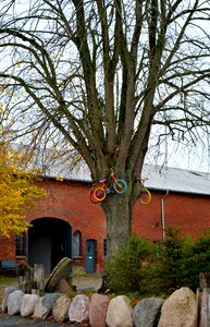 Bicycles child's bike farm photo