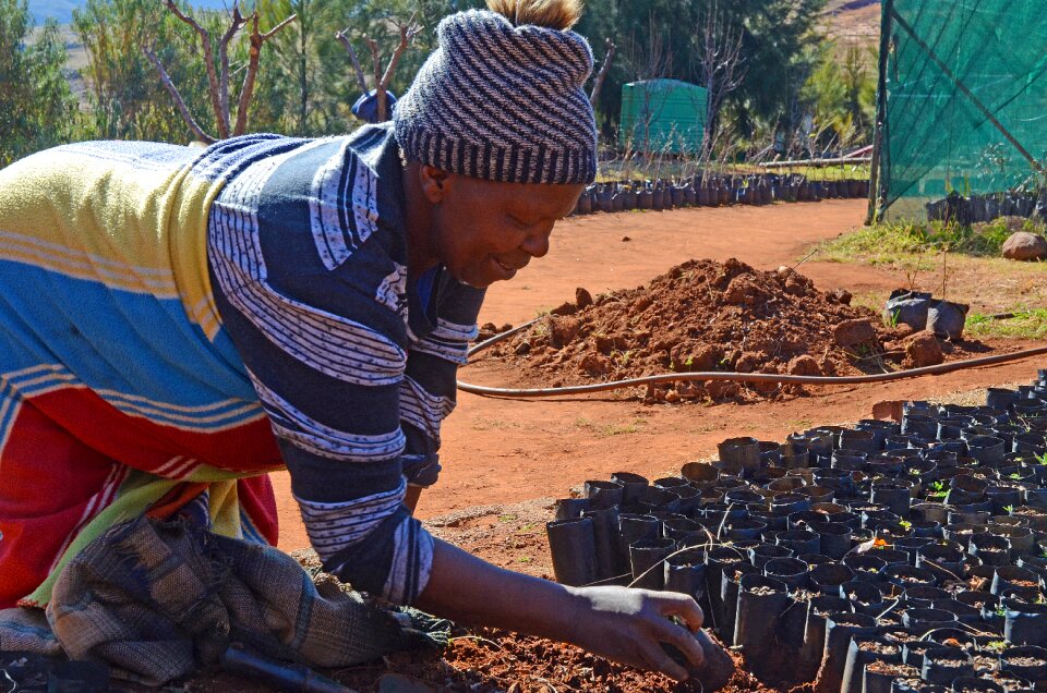 Malealea woman agriculture