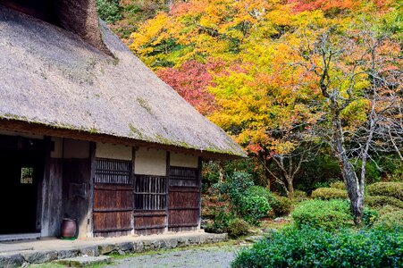 Old houses thatched roof autumnal leaves photo