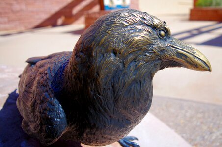 Raven bronze metal