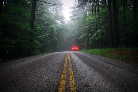 Leaves landscape road