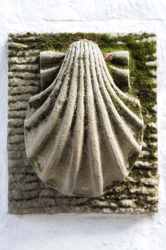 Way of st james pilgrim shell