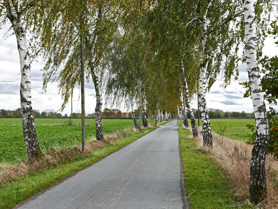 Agriculture bauerschaft covered