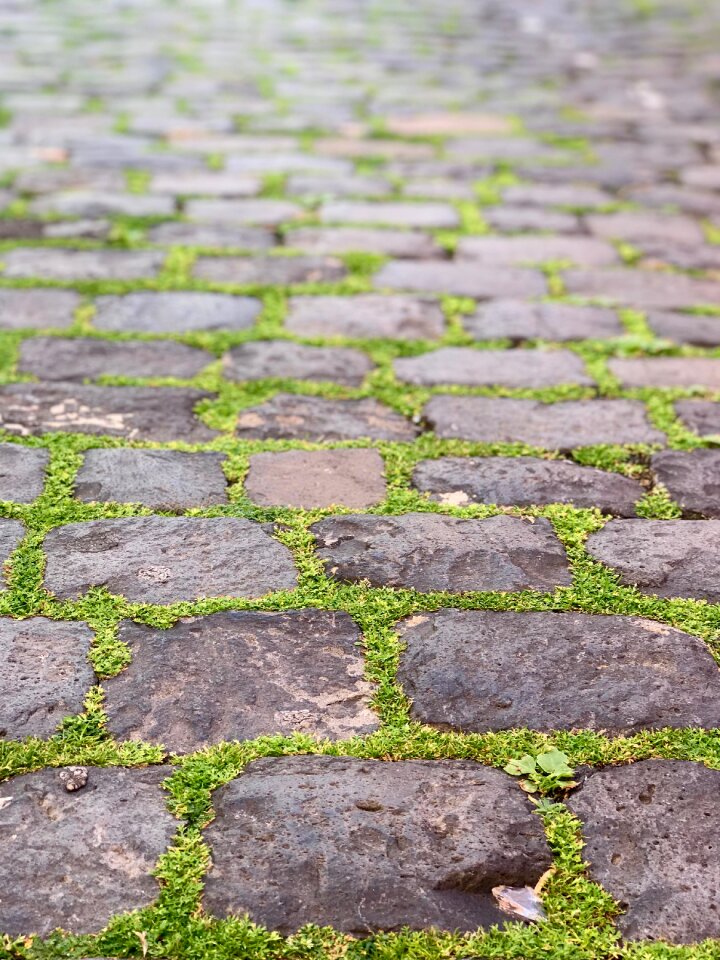 Stone cobble historical