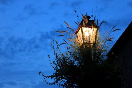 Cold light riquewihr photo