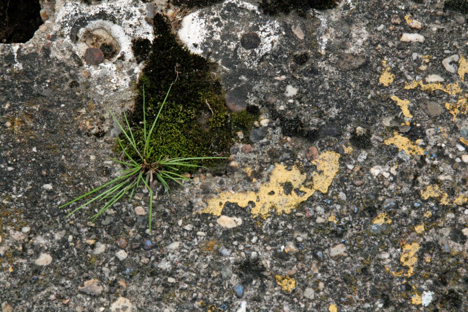 Stones structure background