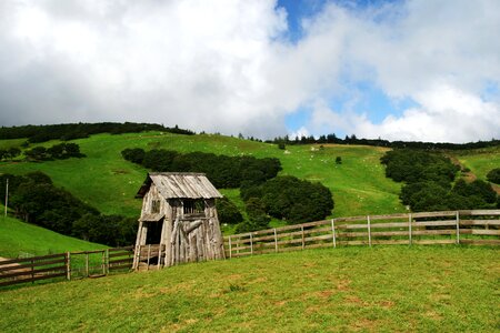 Sky nature cattle ranch