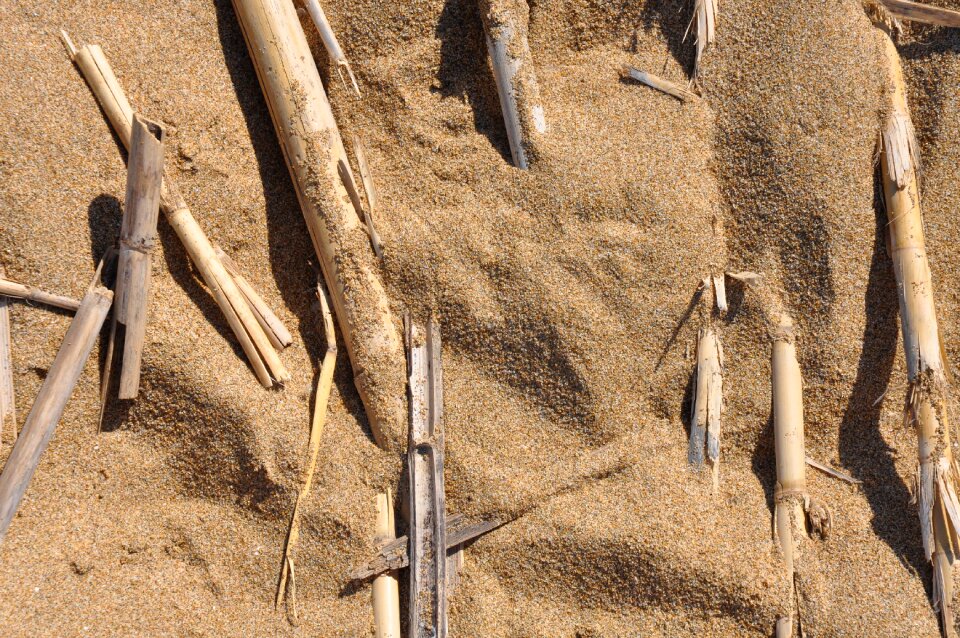 Mikado north sea nature reserve