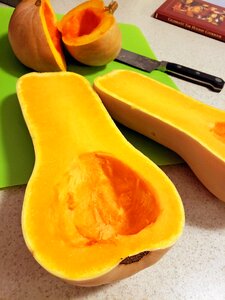 Vegetable butter kin autumn